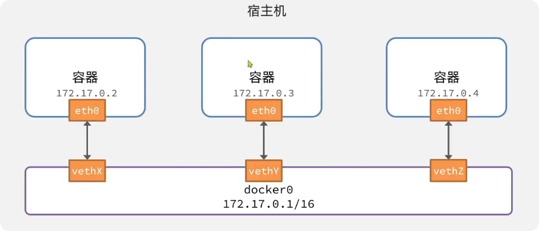 网络